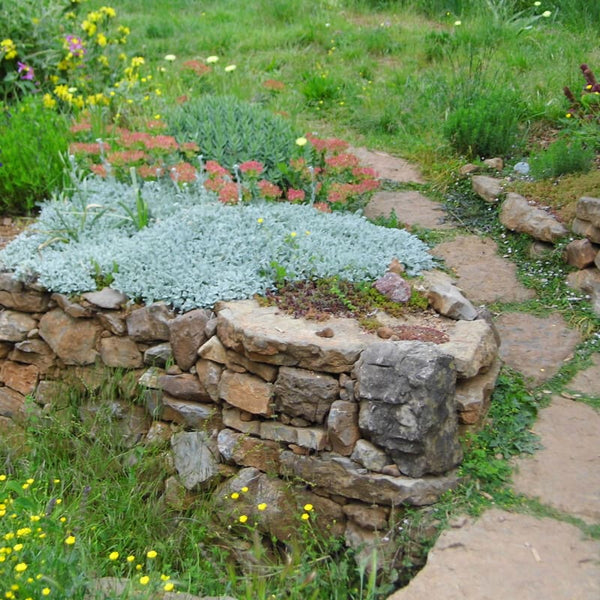 Création de murets en pierre à Thoiras