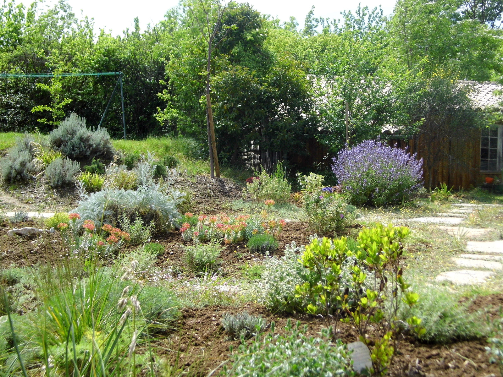 Aménagement jardin sec et couvres-sol à Bragassargues