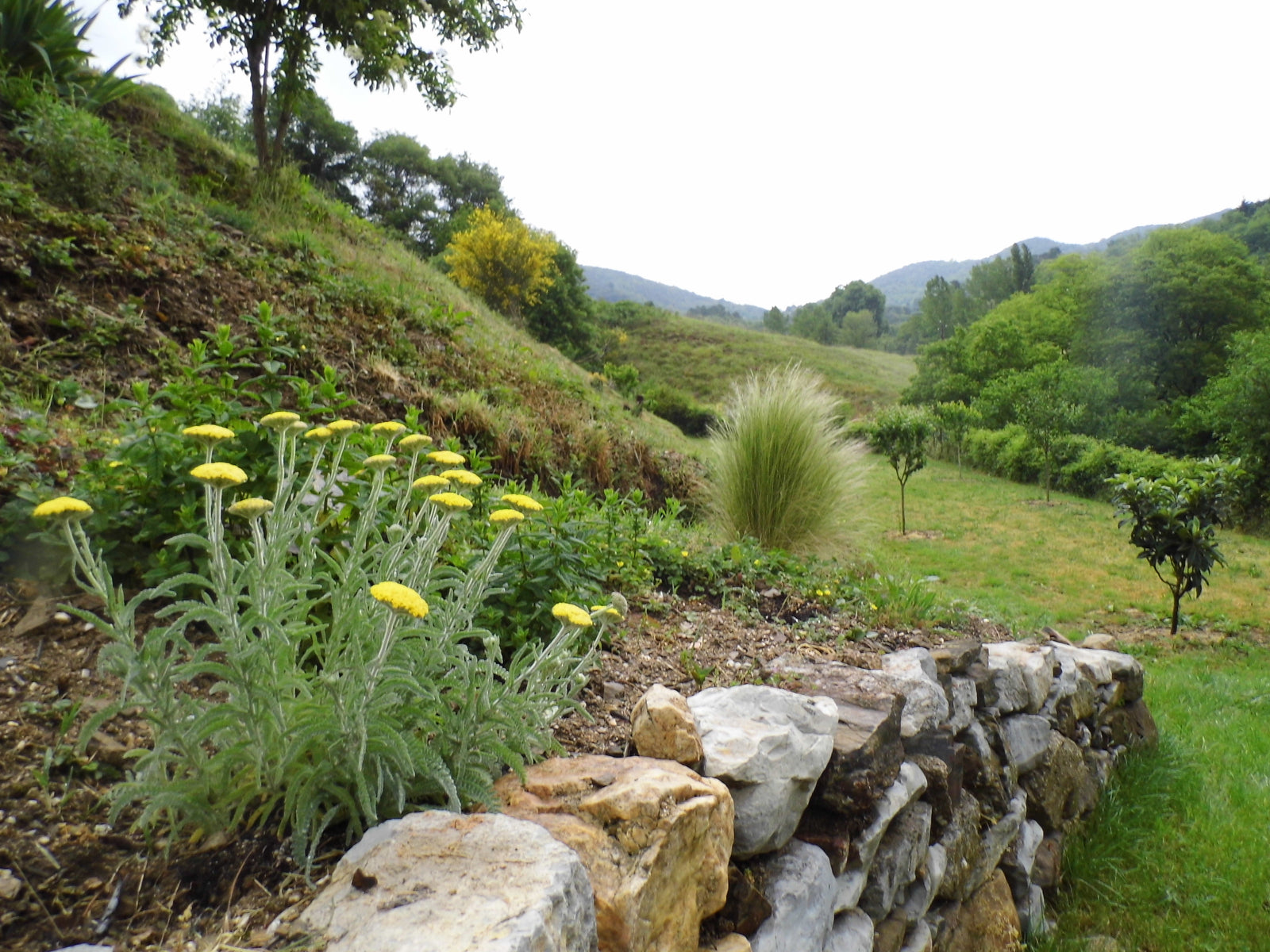 Aménagement extérieur complet à Monoblet