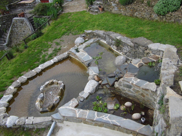 Bassins à 4 niveaux, au jardin raisonné