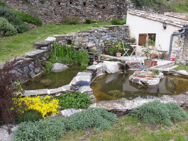 Bassins de jardin dans les cévennes