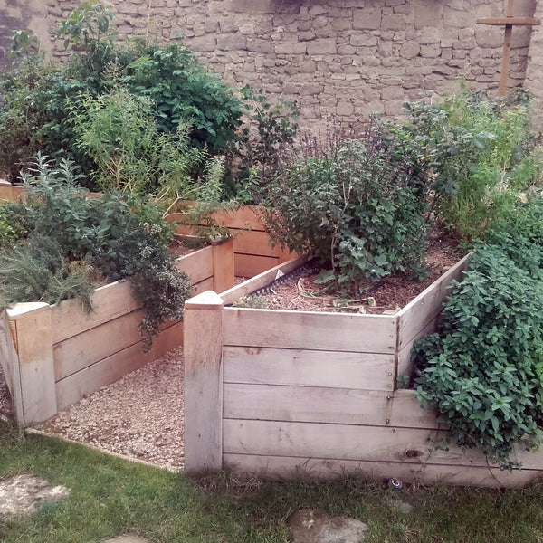 Jardinière en châtaignier et potager