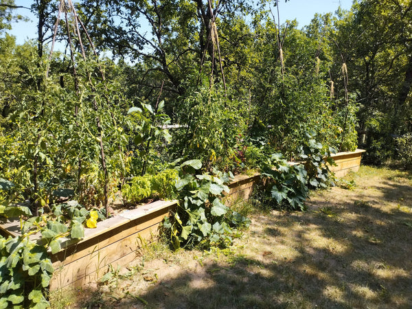 Jardinière potager, au jardin raisonné