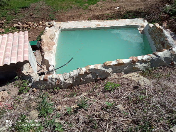 Restauration de bassin, après, à thoiras