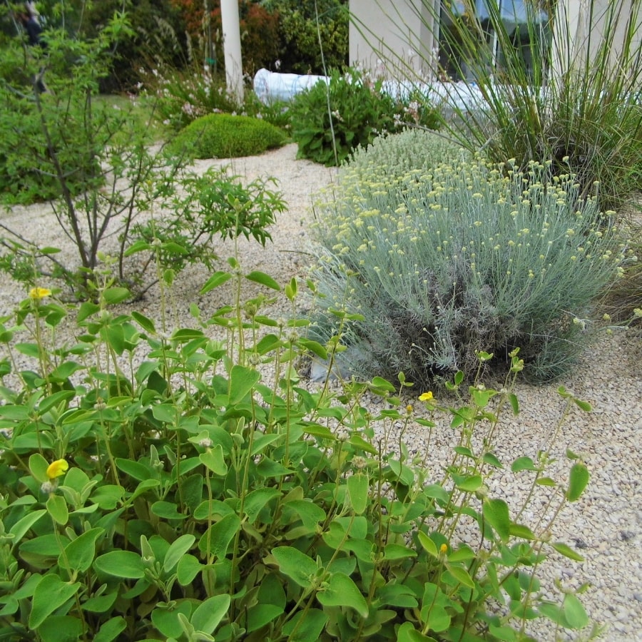 Aménagement de jardin dans les cévènnes