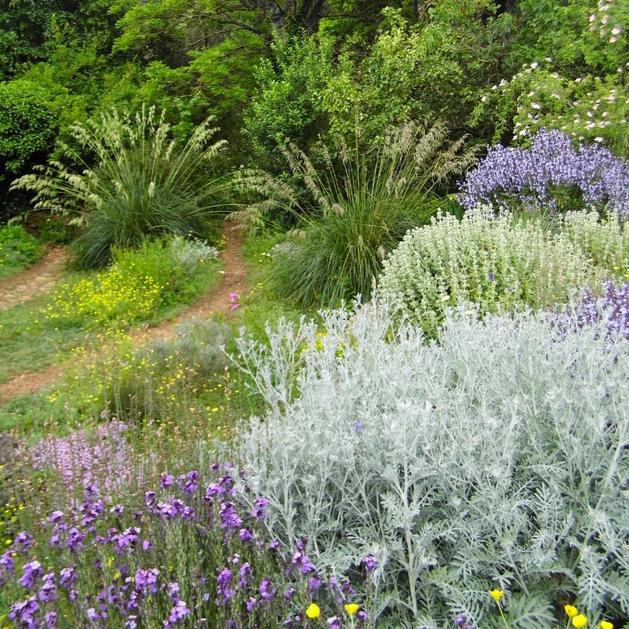 Création florale au jardin raisonné à Thoiras