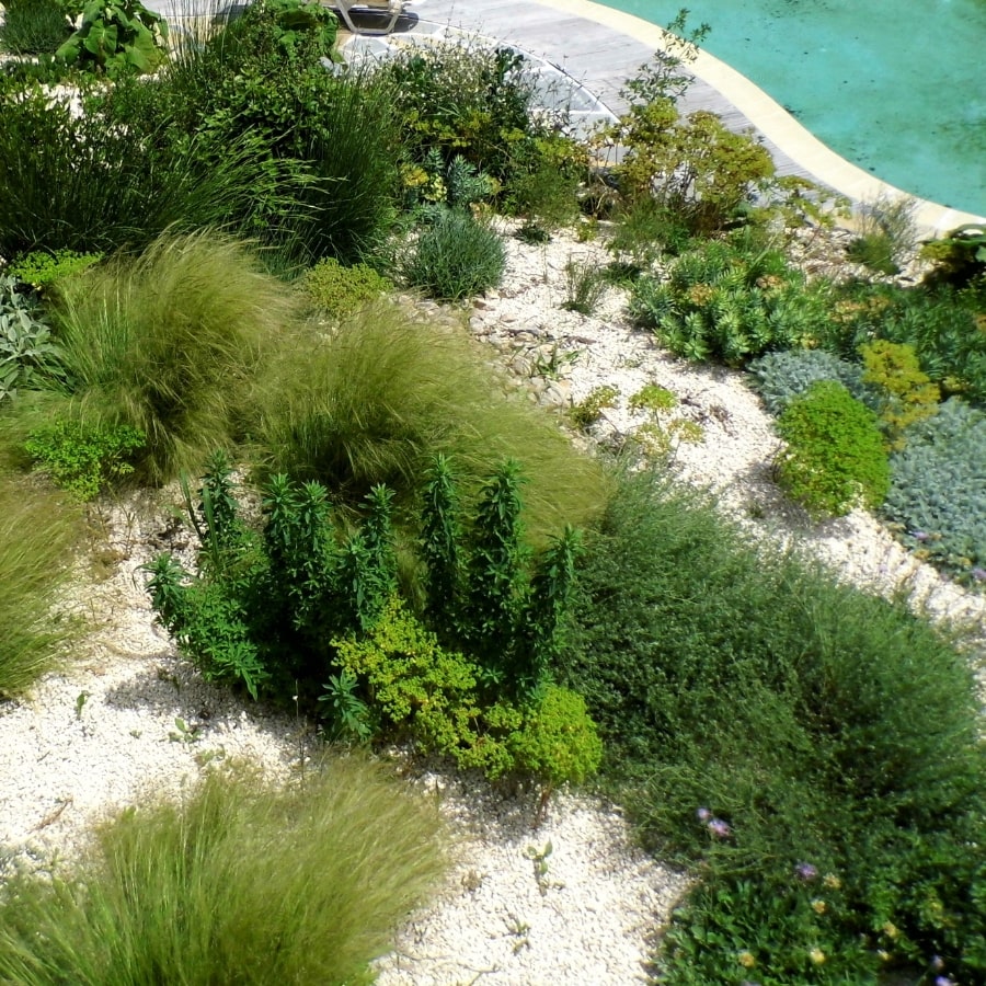 Gestion de l'eau, Au jardin raisonné