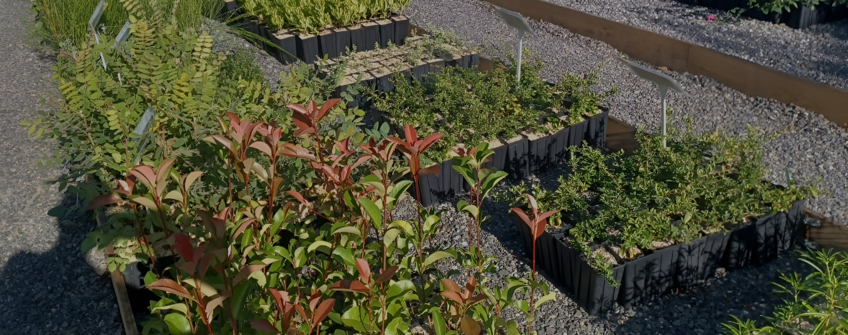 La pépinière au jardin raisonné à Thoiras