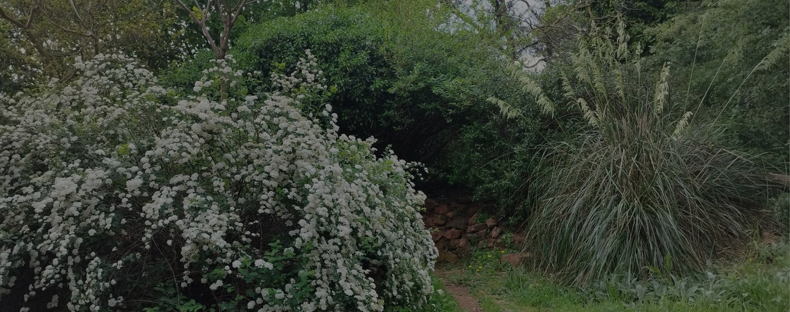Services de la pépinière du jardin raisonné